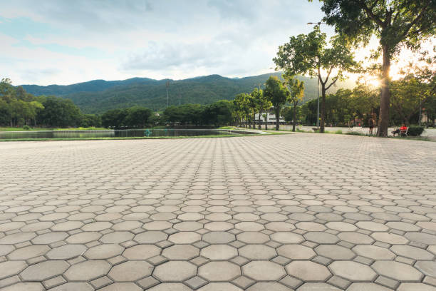 Best Driveway Pavers Near Me  in Seymour, TX