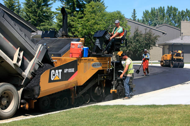 Best Custom Driveway Pavers  in Seymour, TX